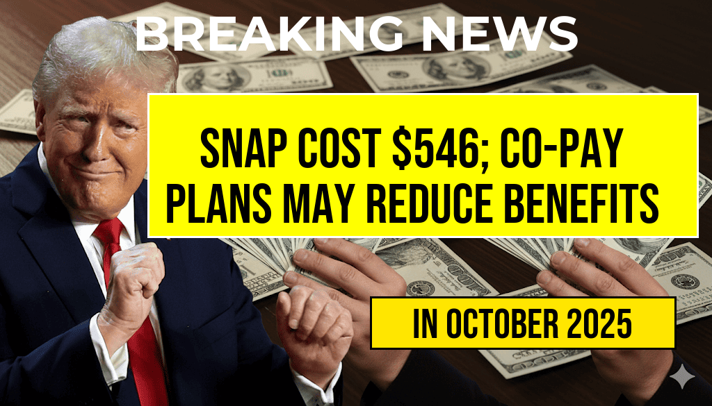 SNAP for Two Costs $546, but State Co-Pay Plans Could Reduce Your Benefits by Over $50